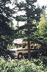 Bow Valley Campgrounds in Kananaskis Country.