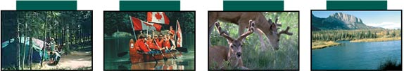 Enjoy camping Bow Valley Campgrounds group camps or equestrian campgrounds. Banff and Canmore are just a stones throw away.