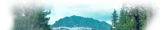 Located in the Bow Valley Provincial Park and Kananaskis Country we have group camps and equestrian campgrounds.