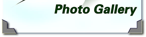 Photo Gallery