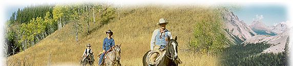 Go trailriding with your friends.