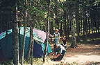 Bow Valley Campgrounds in Kananaskis Country.